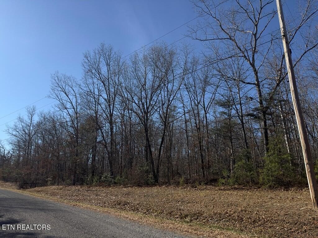 Photo of 0 Anne Rd, Monterey, TN 38574 (MLS # 1324707)