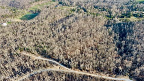Tiny photo for 8 Mill Creek Rd #026 009.19, Sunbright, TN 37872 (MLS # 1334505)