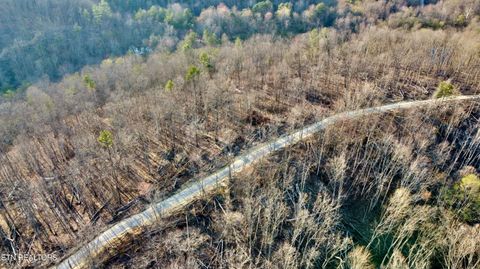 Tiny photo for 8 Mill Creek Rd #026 009.19, Sunbright, TN 37872 (MLS # 1334505)