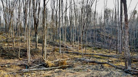 Tiny photo for 8 Mill Creek Rd #026 009.19, Sunbright, TN 37872 (MLS # 1334505)