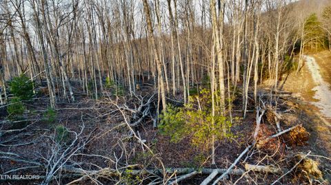 Tiny photo for 8 Mill Creek Rd #026 009.19, Sunbright, TN 37872 (MLS # 1334505)