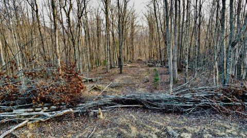 Tiny photo for 8 Mill Creek Rd #026 009.19, Sunbright, TN 37872 (MLS # 1334505)