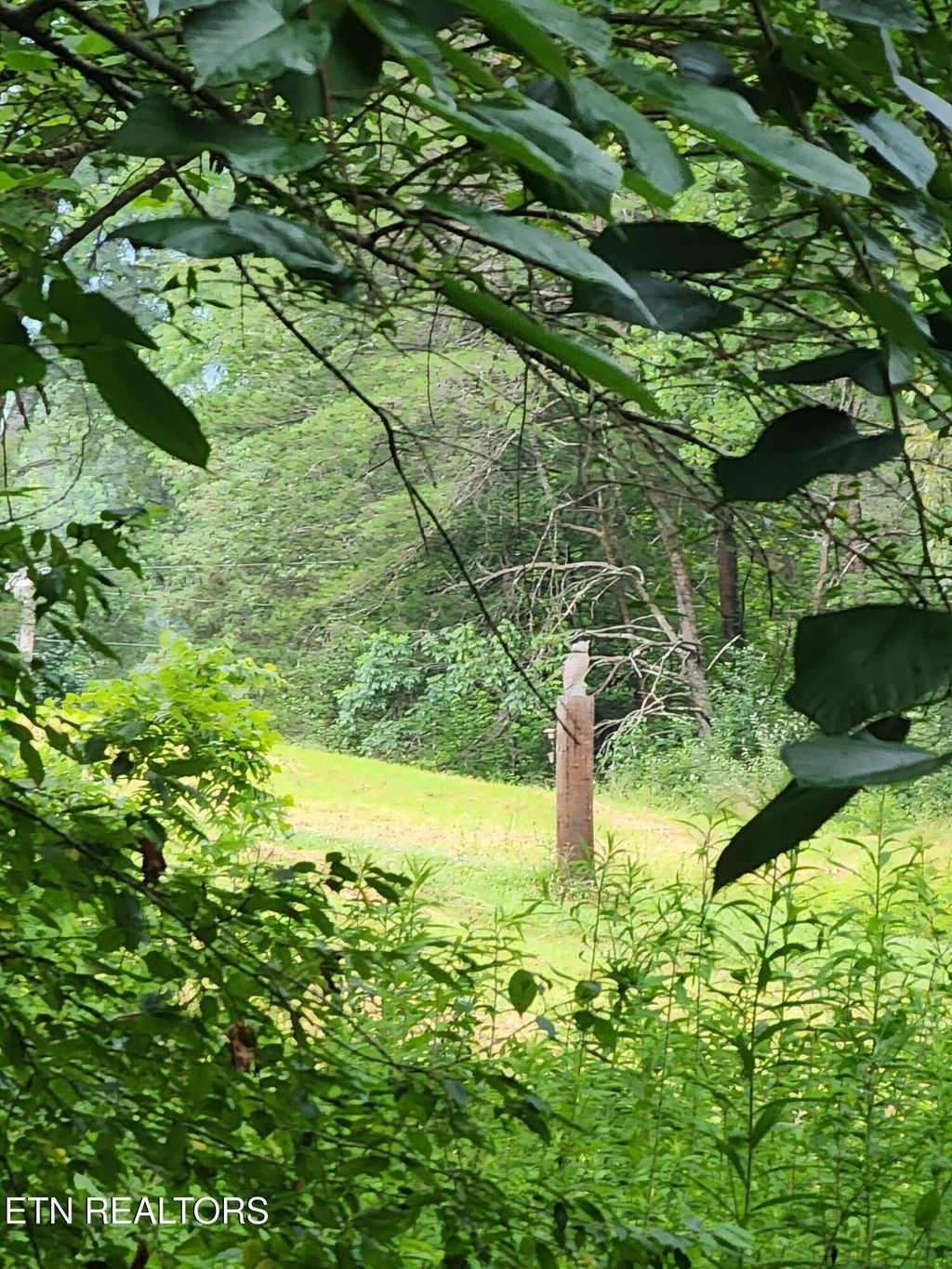 Photo of 136 Sugar Rd, Oliver Springs, TN 37840 (MLS # 1306237)