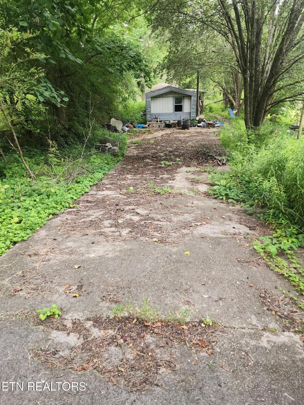 Photo of 136 Sugar Rd, Oliver Springs, TN 37840 (MLS # 1306237)