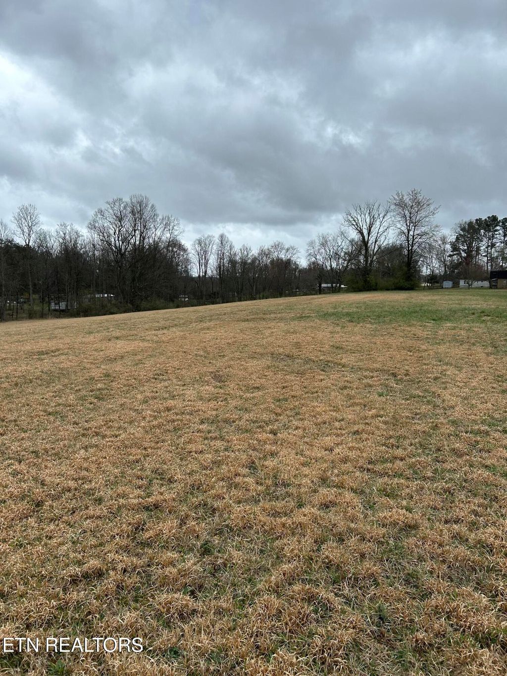 Photo of 00 Daysville Rd, Rockwood, TN 37854 (MLS # 1333054)