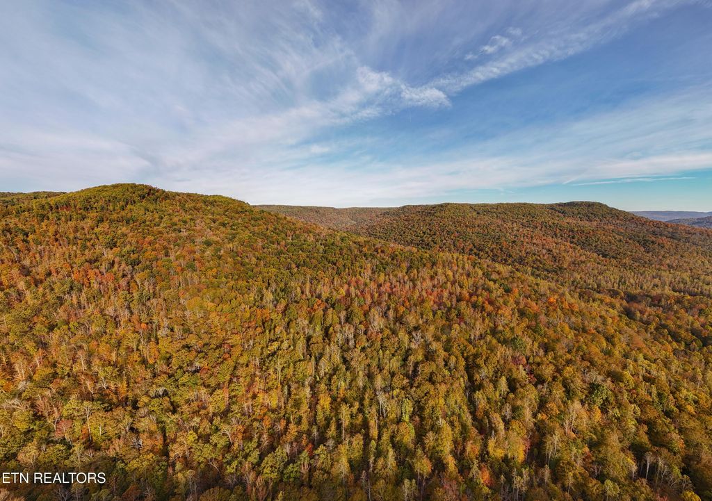 Photo of 0 Boatland Rd, Jamestown, TN 38556 (MLS # 1324423)