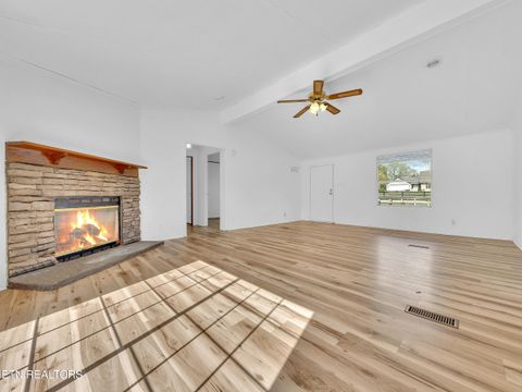 Tiny photo for 115 Queener St, Jacksboro, TN 37757 (MLS # 1317239)