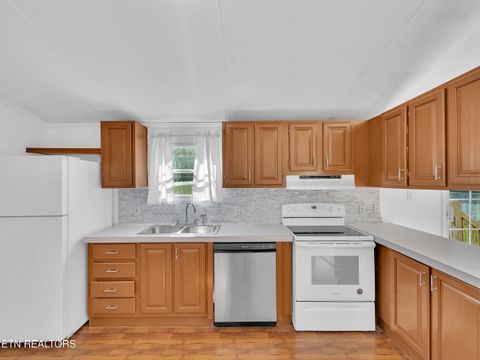 Tiny photo for 115 Queener St, Jacksboro, TN 37757 (MLS # 1317239)