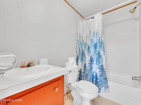 Tiny photo for 115 Queener St, Jacksboro, TN 37757 (MLS # 1317239)