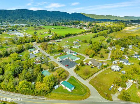 Tiny photo for 115 Queener St, Jacksboro, TN 37757 (MLS # 1317239)