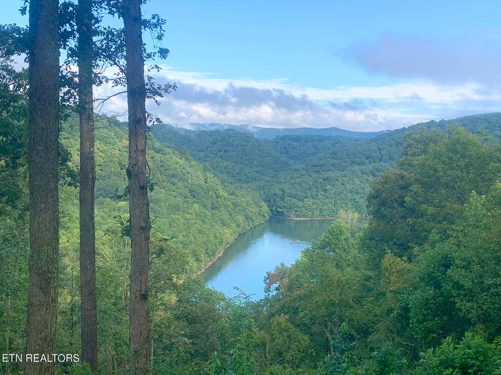 Photo of 2581 Locust Grove Rd Rd, New Tazewell, TN 37825 (MLS # 1240723)