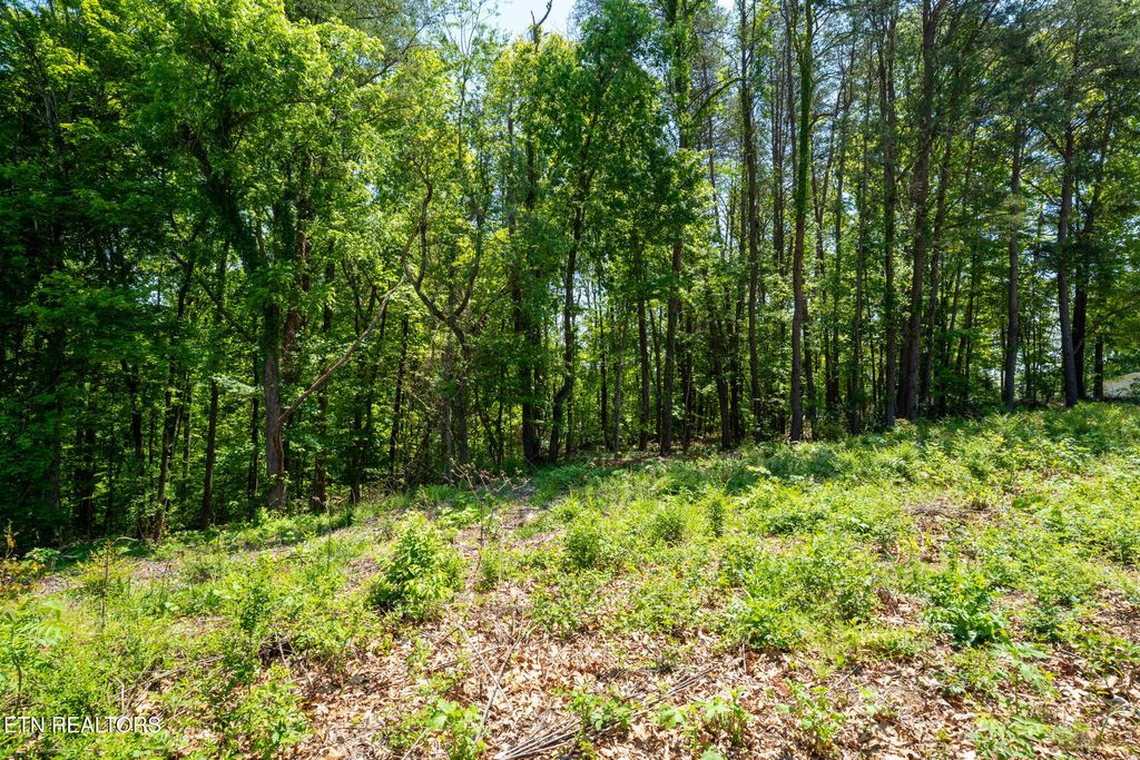 Photo of 478 Skyline Drive, Harriman, TN 37748 (MLS # 1299395)