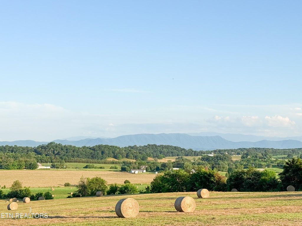 Photo of Lot 13 Summerset Dr, Talbott, TN 37877 (MLS # 1307770)