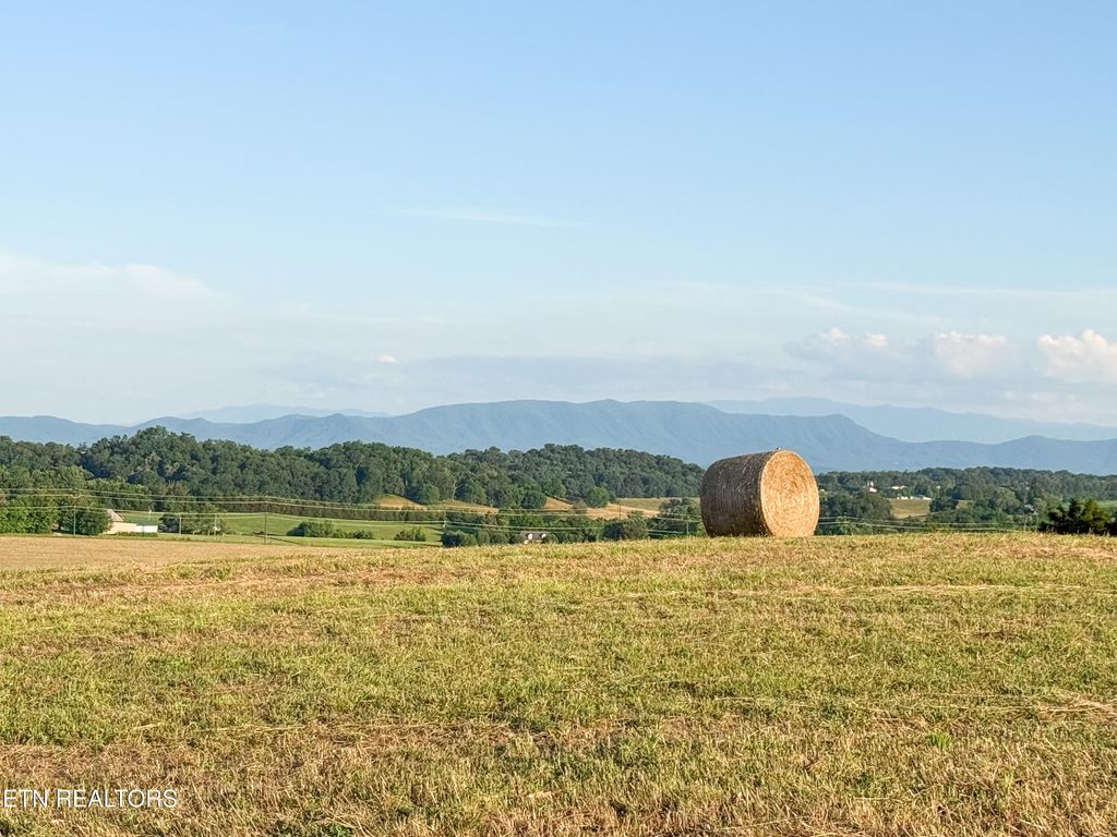 Photo of Lot 13 Summerset Dr, Talbott, TN 37877 (MLS # 1307770)