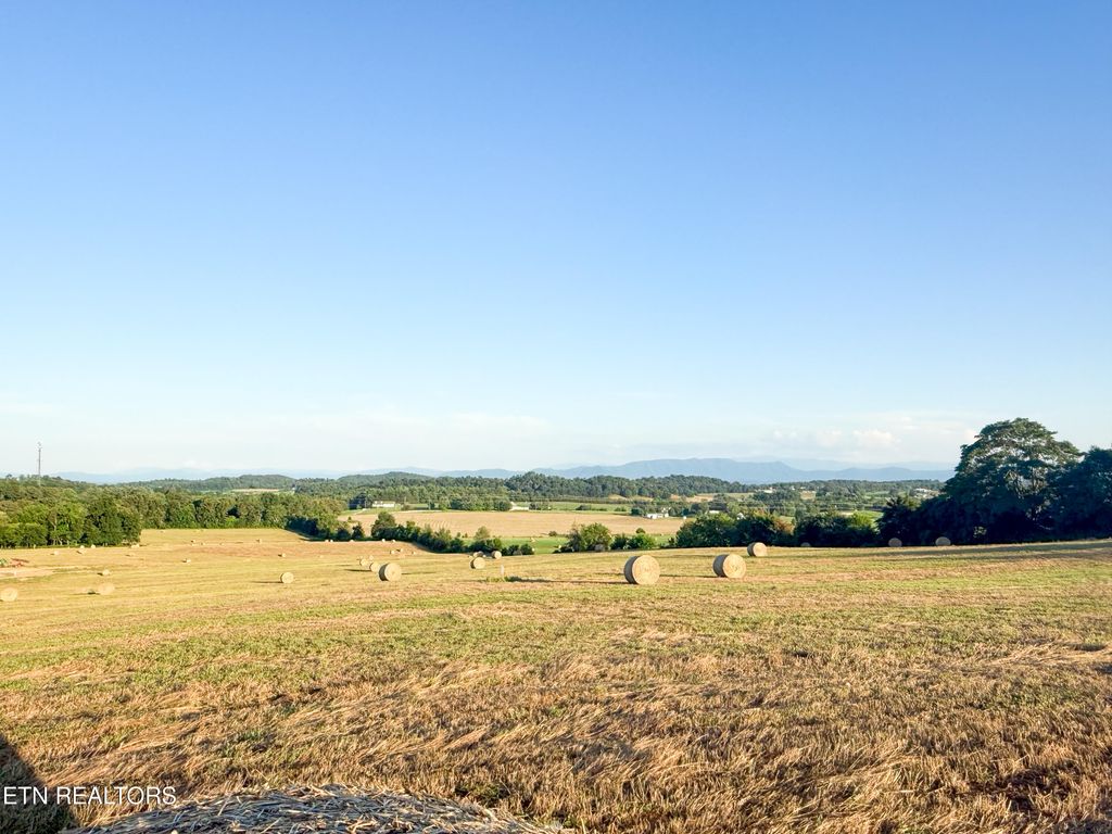 Photo of Lot 13 Summerset Dr, Talbott, TN 37877 (MLS # 1307770)