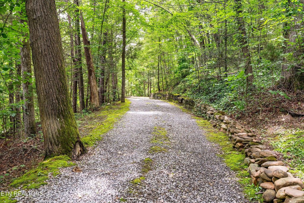 Photo of 2537 Waldens Creek Rd, Sevierville, TN 37862 (MLS # 1302506)