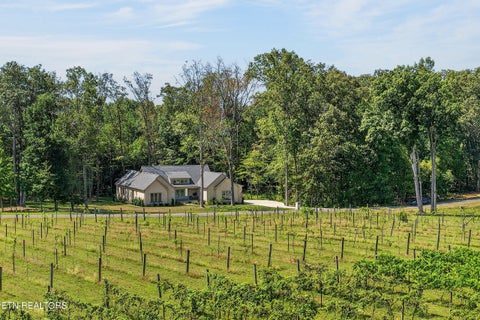 Tiny photo for 753 Vintage Drive, Baxter, TN 38544 (MLS # 1358362)