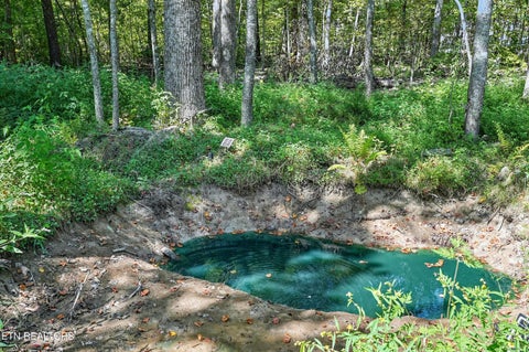 Tiny photo for 753 Vintage Drive, Baxter, TN 38544 (MLS # 1358362)