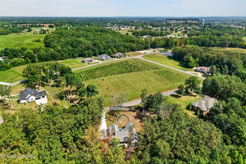 Tiny photo for 753 Vintage Drive, Baxter, TN 38544 (MLS # 1358362)