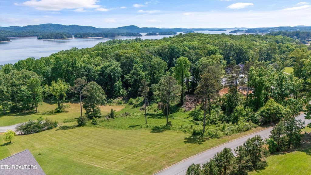 Photo of 98 Cow Poke Lane, Rutledge, TN 37861 (MLS # 1301367)