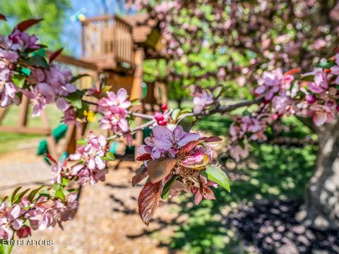 Tiny photo for 7425 Lawford Rd, Knoxville, TN 37919 (MLS # 1333418)