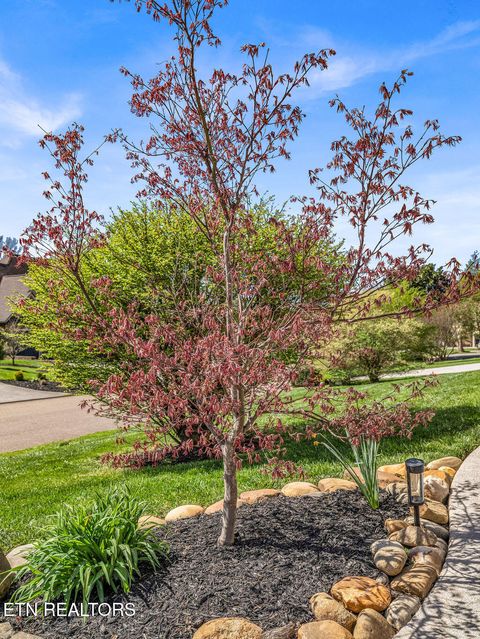 Tiny photo for 7425 Lawford Rd, Knoxville, TN 37919 (MLS # 1333418)