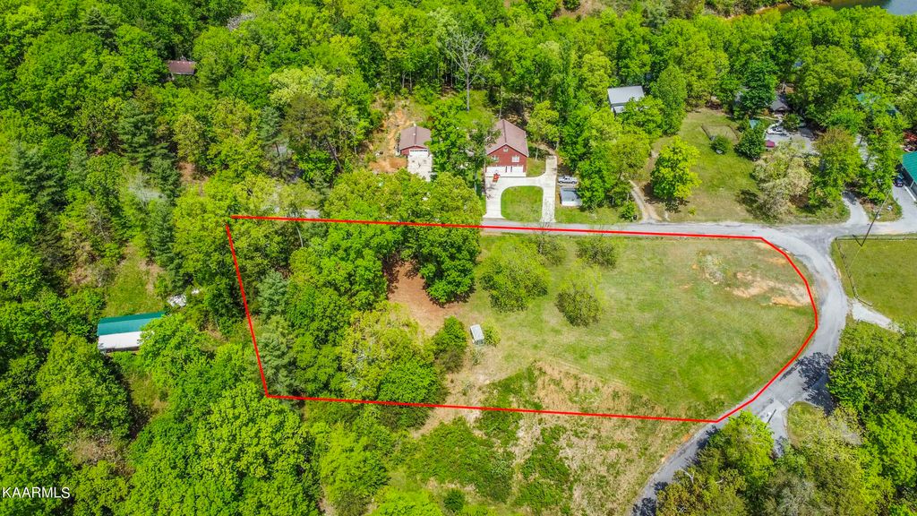 Photo of 238 Hickory Drive, Spring City, TN 37381 (MLS # 1189079)