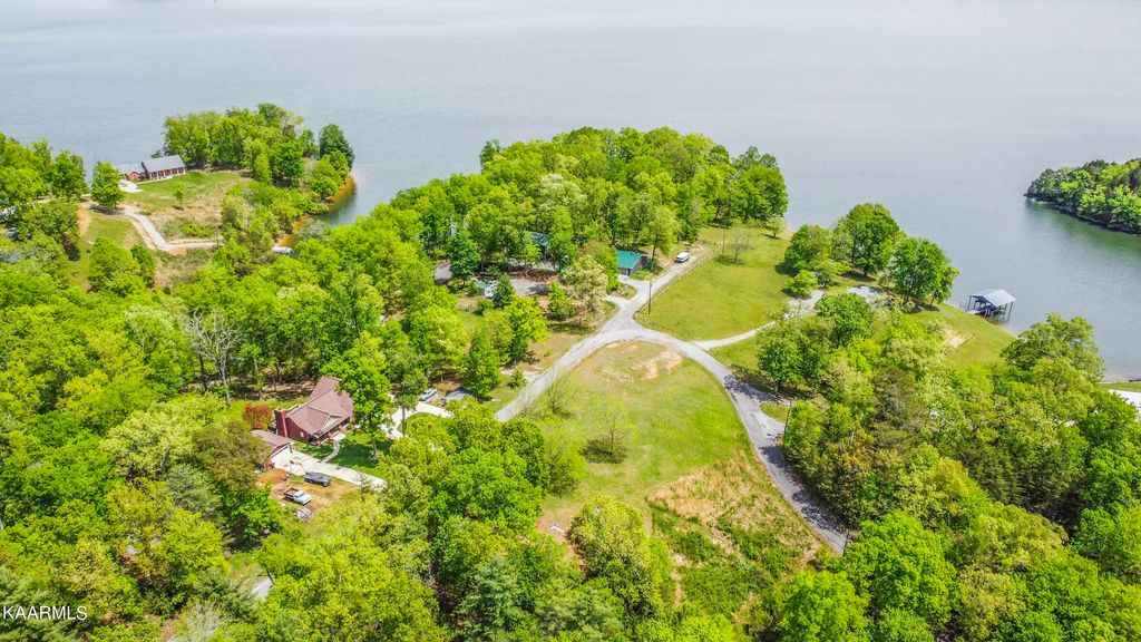 Photo of 238 Hickory Drive, Spring City, TN 37381 (MLS # 1189079)