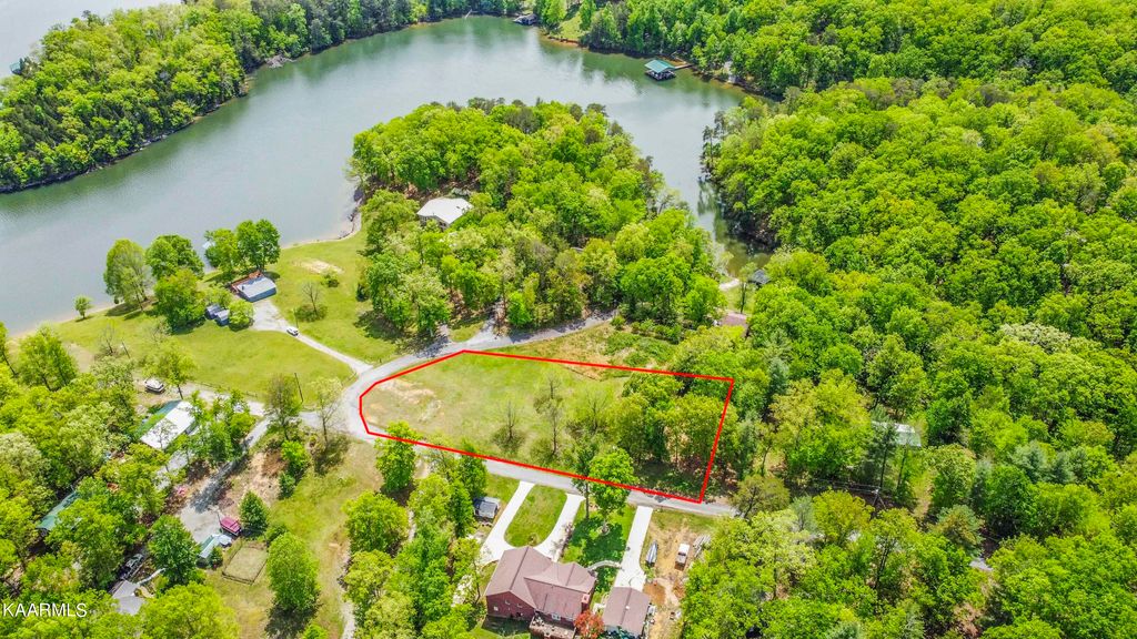 Photo of 238 Hickory Drive, Spring City, TN 37381 (MLS # 1189079)