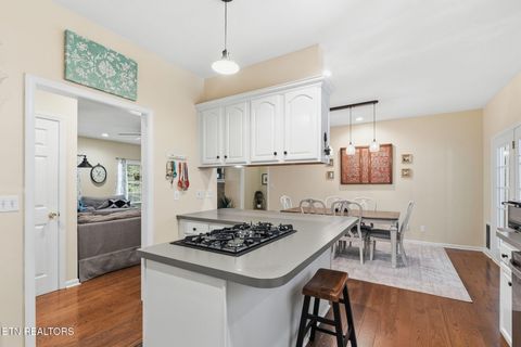 Tiny photo for 245 Rocky Top Rd, Luttrell, TN 37779 (MLS # 1348424)