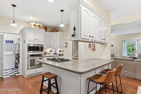 Tiny photo for 245 Rocky Top Rd, Luttrell, TN 37779 (MLS # 1348424)