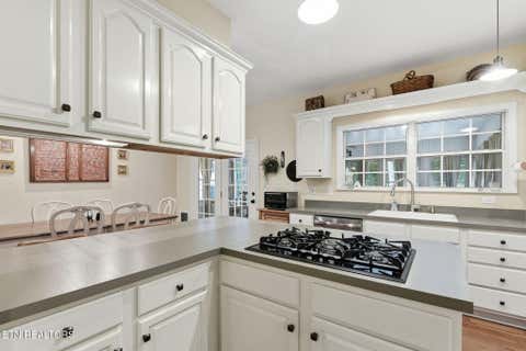 Tiny photo for 245 Rocky Top Rd, Luttrell, TN 37779 (MLS # 1348424)