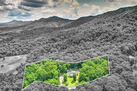 Tiny photo for 245 Rocky Top Rd, Luttrell, TN 37779 (MLS # 1348424)