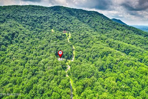 Tiny photo for 245 Rocky Top Rd, Luttrell, TN 37779 (MLS # 1348424)
