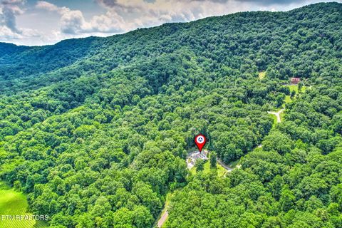 Tiny photo for 245 Rocky Top Rd, Luttrell, TN 37779 (MLS # 1348424)