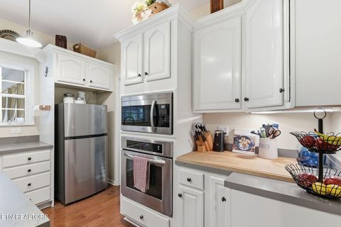 Tiny photo for 245 Rocky Top Rd, Luttrell, TN 37779 (MLS # 1348424)
