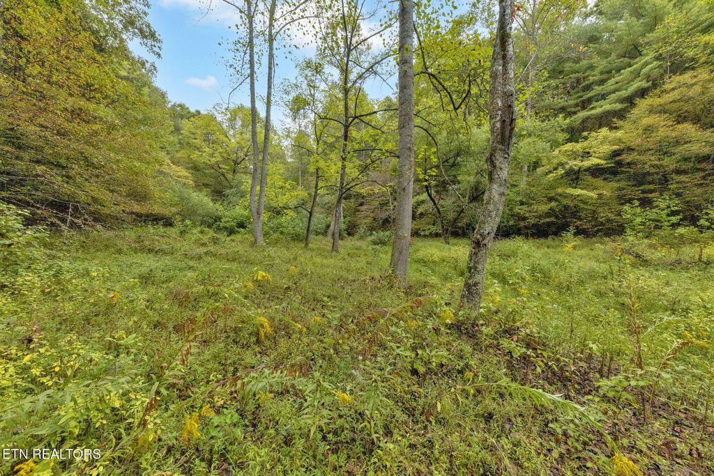 Photo of 399 Cooper Rd, Vonore, TN 37885 (MLS # 1316151)