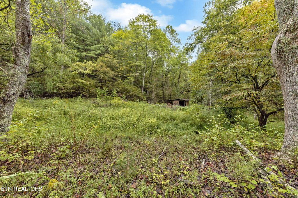 Photo of 399 Cooper Rd, Vonore, TN 37885 (MLS # 1316151)