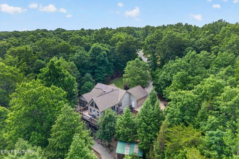 Photo of 232 Victoria Circle, Jamestown, TN 38556 (MLS # 1343853)