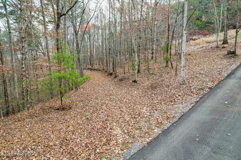 25 Acres County Road 758 Riceville TN 37370