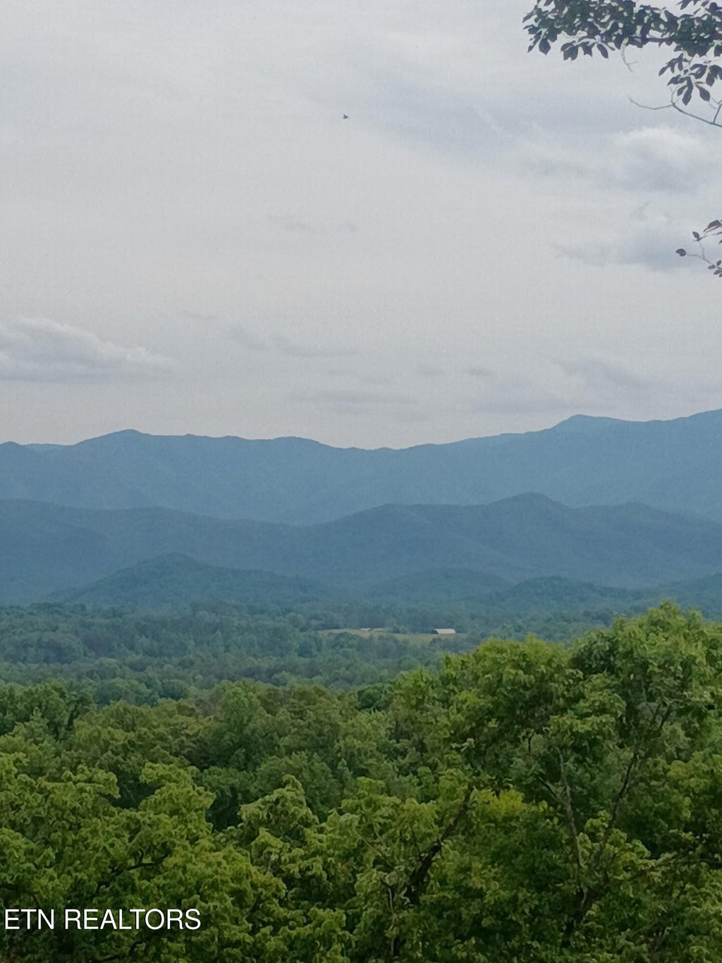 Photo of 16 Moody Moon Ridge Way, Newport, TN 37821 (MLS # 1345159)