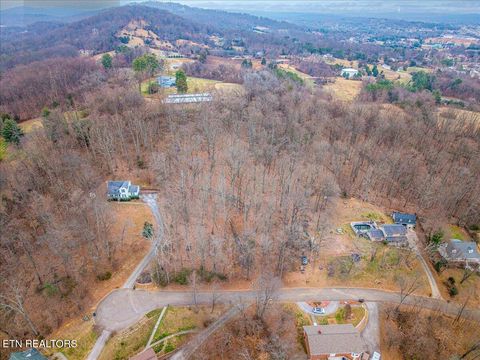 Photo of 3641 Meadowland Drive, Morristown, TN 37814 (MLS # 1325822)