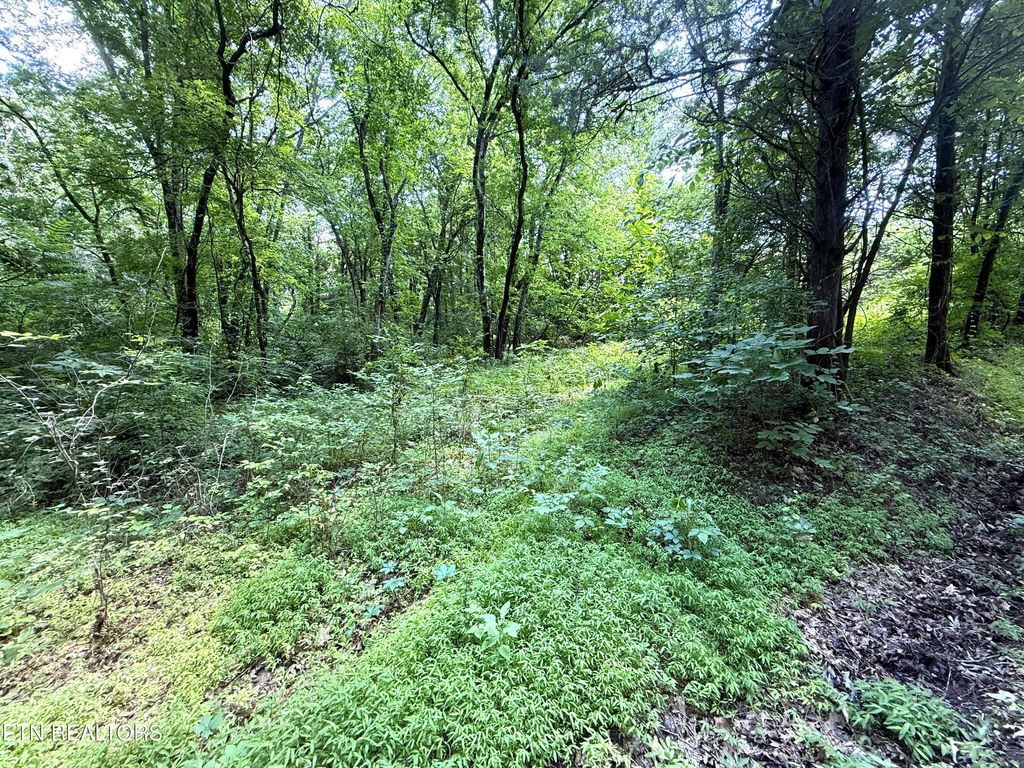 Photo of 3697 Sane Rd, Parrottsville, TN 37843 (MLS # 1304540)