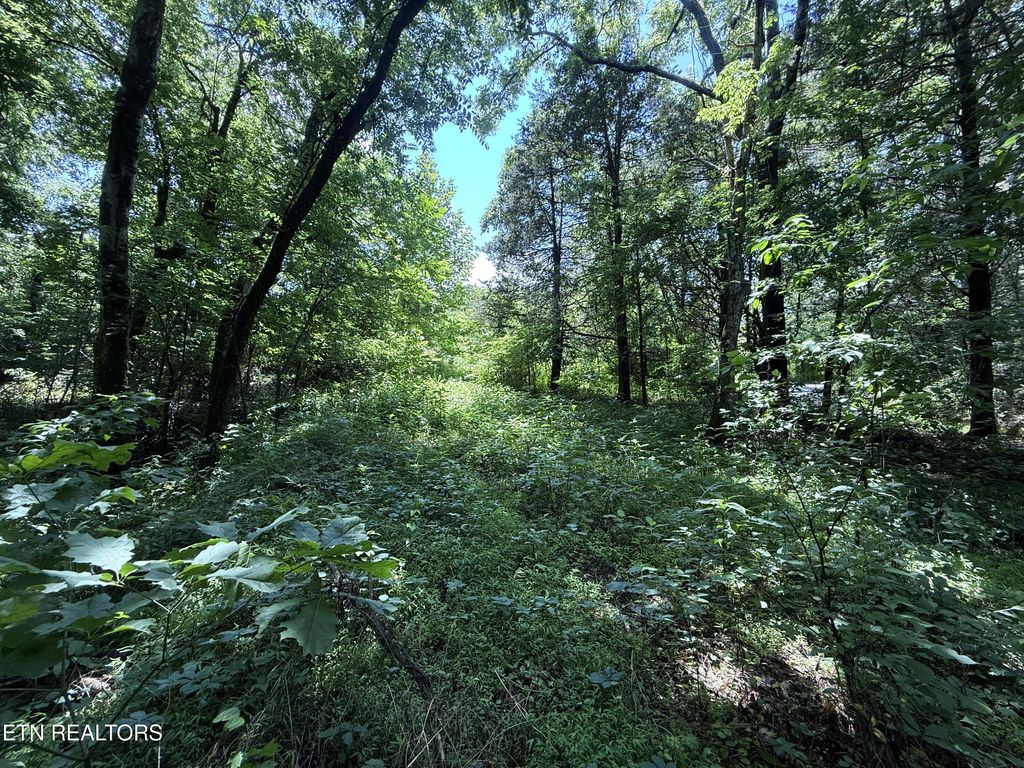 Photo of 3697 Sane Rd, Parrottsville, TN 37843 (MLS # 1304540)