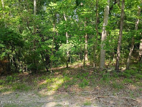 Photo of 139 Havenridge Circle, Crossville, TN 38558 (MLS # 1341356)