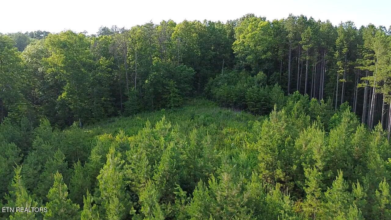 Lot 35 Winding Tr