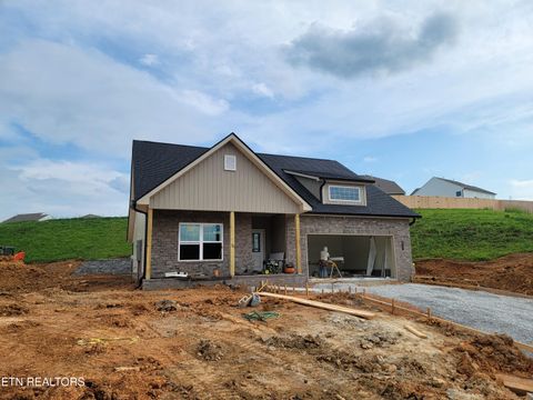 230 Sugar Maple Tr Lenoir City TN 37771