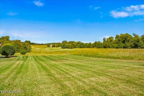 Tiny photo for 104 Wesa Tr, Vonore, TN 37885 (MLS # 1357405)