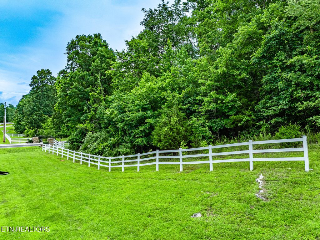Photo of 245 New Hope Rd, Rockwood, TN 37854 (MLS # 1306391)