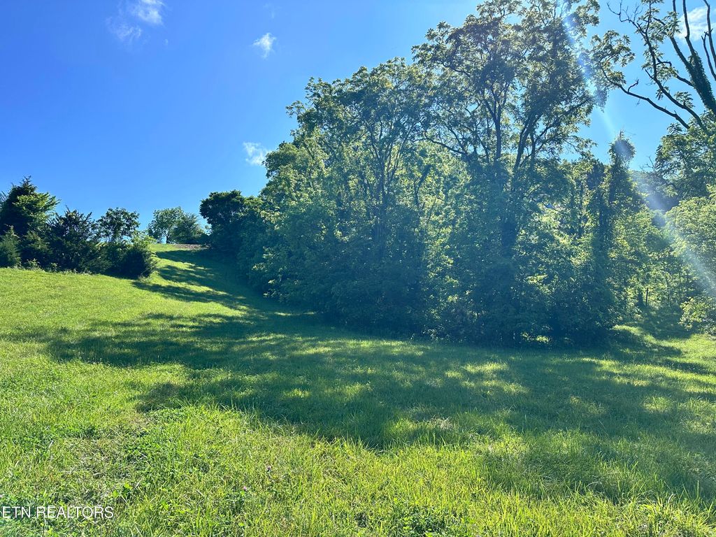 Photo of 161 Garfield Lane, Sharps Chapel, TN 37866 (MLS # 1327462)